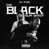 Dj R Sin - The Black Slim Shady - Single